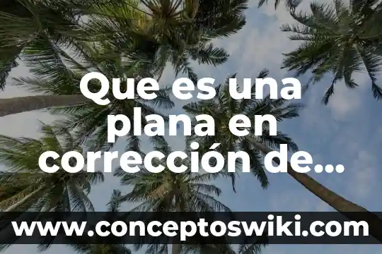 Que es estepa semidesértica muy plana 7 Que es una plana en corrección de estilo