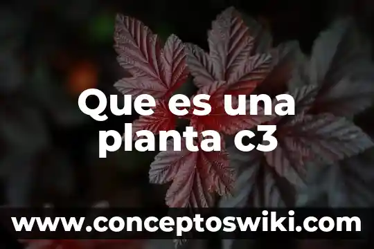 Para que es buena la planta insulina 6 Que es una planta c3