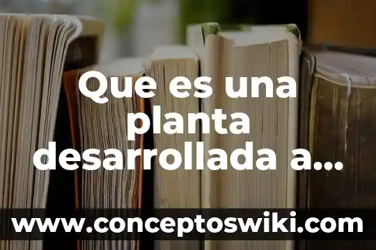 Que es palustre planta 4 Que es una planta desarrollada a la cruz