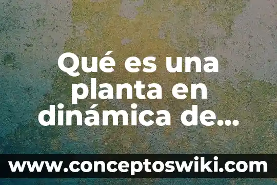 Que es la planta caoba 8 Qué es una planta en dinámica de sistemas