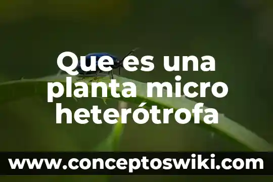 Para que es buena la planta insulina 3 Que es una planta micro heterótrofa