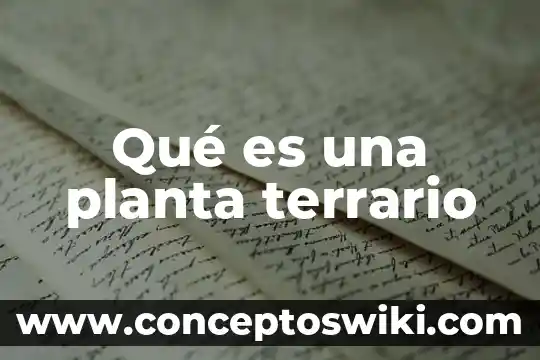 Qué es la planta de sesamo 5 Qué es una planta terrario