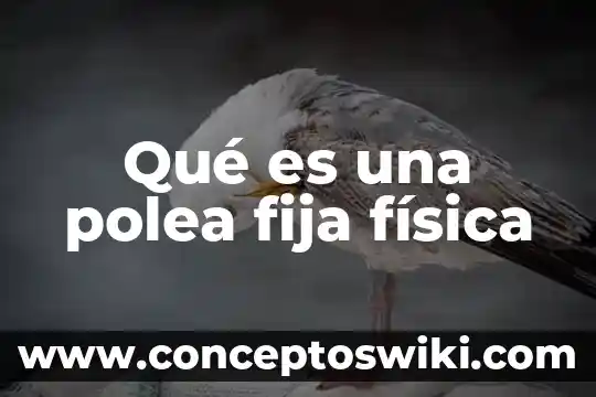 Que es la miopia en fisica 4 Qué es una polea fija física