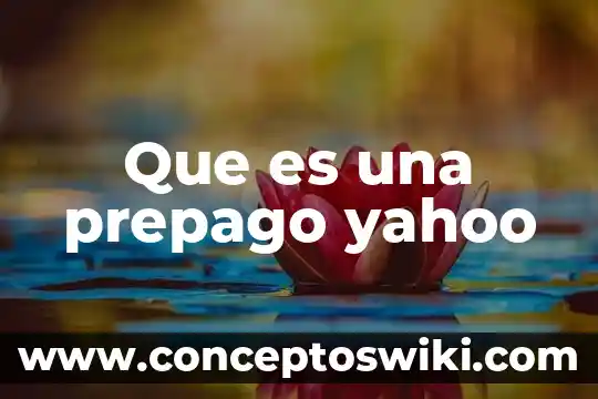 Que es la medula osea yahoo 7 Que es una prepago yahoo