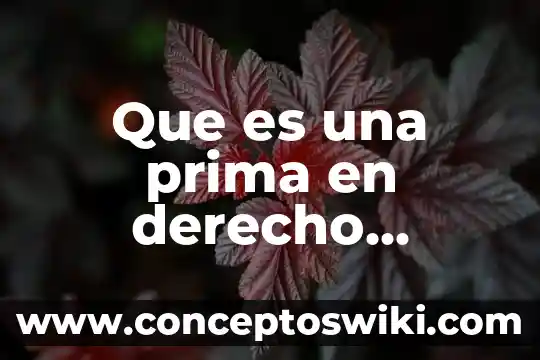 Qué es crédito mercantil adquirido 7 Que es una prima en derecho mercantil