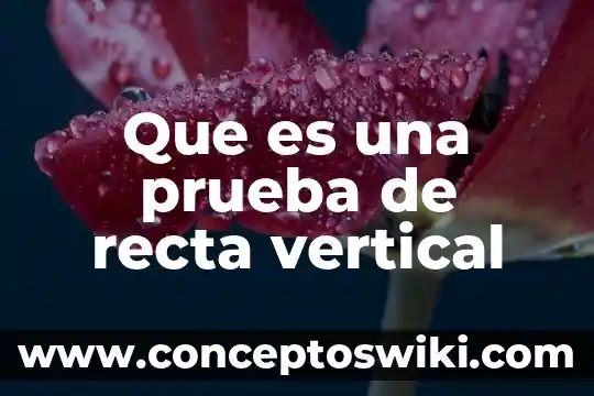 Que es recta en geometria y ejemplos 7 Que es una prueba de recta vertical
