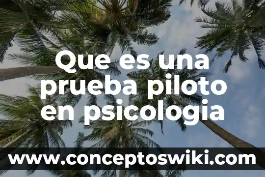 Qué es un sistema piloto 4 Que es una prueba piloto en psicologia