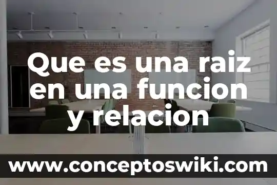 Qué es raíz de planta 3 Que es una raiz en una funcion y relacion