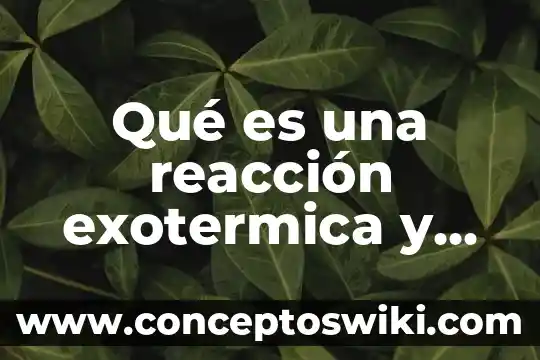 Qué es una función y qué es una reacción 3 Qué es una reacción exotermica y un ejemplo