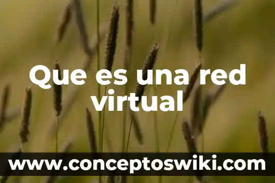 Que es y para que sirve una biblioteca virtual 3 Que es una red virtual