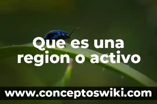 Activo mediador que es 5 Que es una region o activo