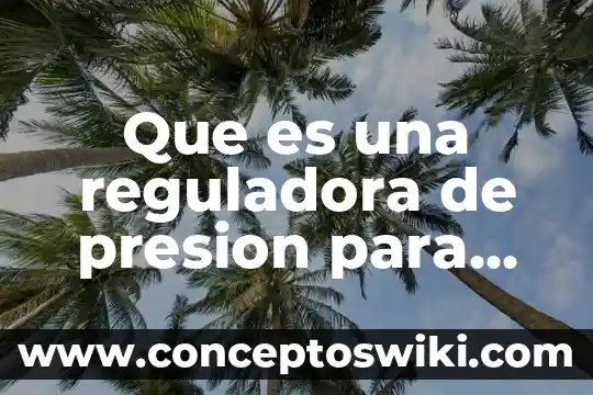 Qué es un panel estructural 7 Que es una reguladora de presion para agua caliente