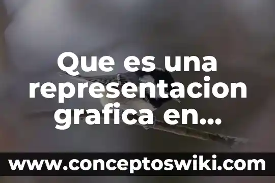 Qué es representación gráfica de puntos 4 Que es una representacion grafica en cuanto a la estadistica