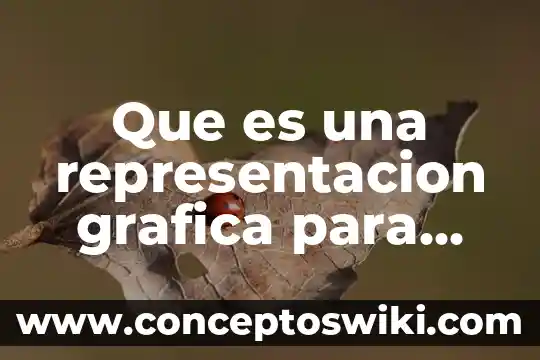 Qué es una representación gráfica de fracciones 6 Que es una representacion grafica para trabajos