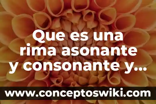 Qué es una rima en un ejemplo 3 Que es una rima asonante y consonante y ejemplos