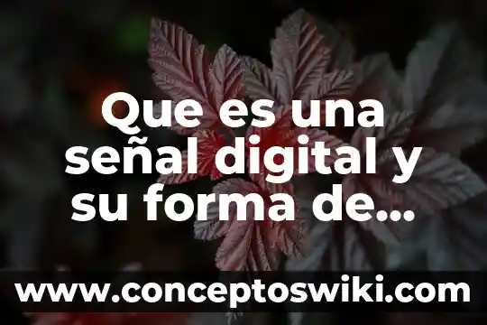 Que es una forma ordinaria 7 Que es una señal digital y su forma de dibujarla