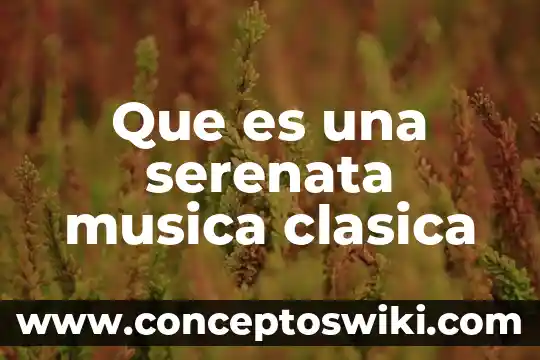 ¿Qué es la sonata en la música? 6 Que es una serenata musica clasica