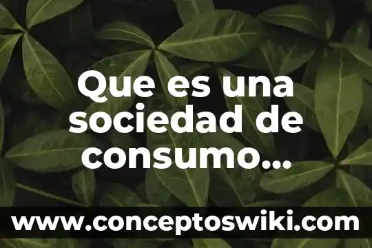 Que es el consumo interno 4 Que es una sociedad de consumo yahoo