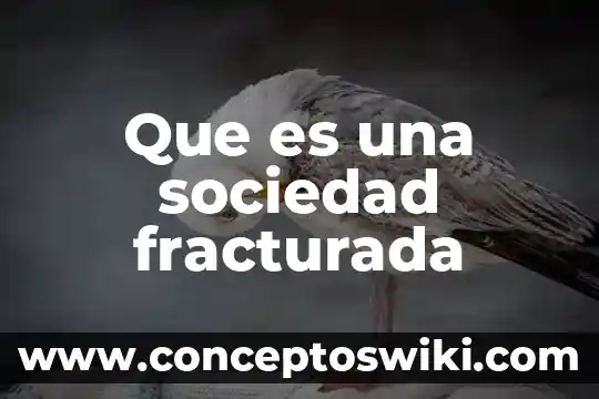 Que es una sociedad matrista 3 Que es una sociedad fracturada