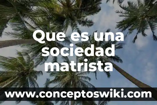 Que es una sociedad fracturada 6 Que es una sociedad matrista