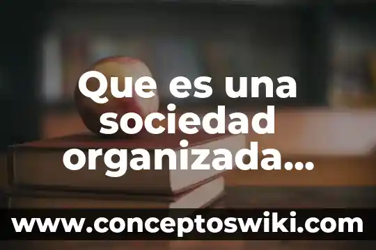Qué es la caución en la sociedad anónima 3 Que es una sociedad organizada democraticamente