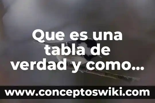 Que es un numero y en que se clasifican 3 Que es una tabla de verdad y como se clasifican