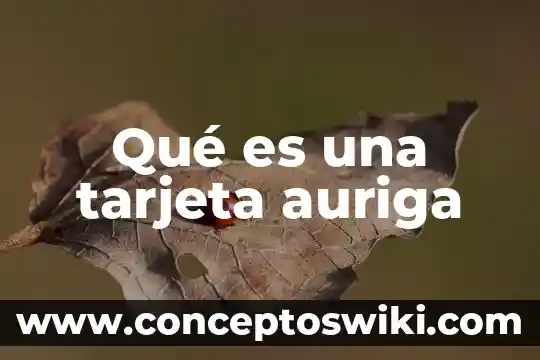 Que es el cvv de tarjeta 6 Qué es una tarjeta auriga