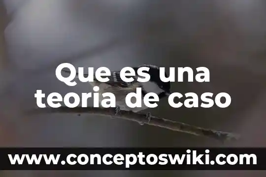 Qué es la teoría de la supersimetría 8 Que es una teoria de caso