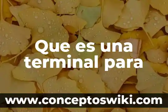 Watson assistant que es 3 Que es una terminal para