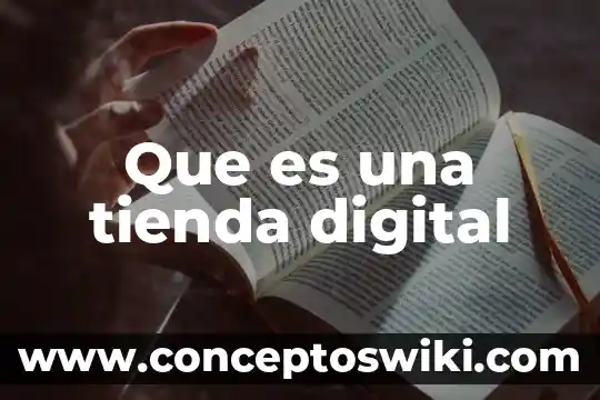Planta de tienda que es 5 Que es una tienda digital