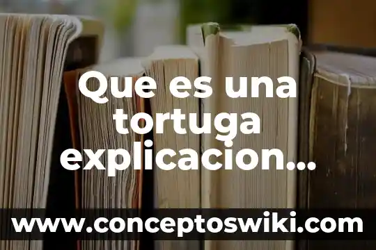 Que es una estrella explicacion para niños 5 Que es una tortuga explicacion para niños