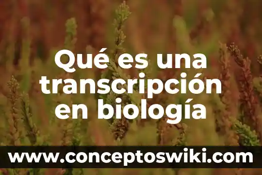 Que es perpetuacion en biologia 7 Qué es una transcripción en biología