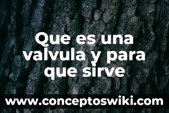 Que es y para que sirve eskapar compuesto 8 Que es una valvula y para que sirve