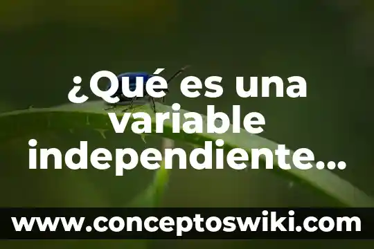 Que es investigacion mixta segun sampieri 6 ¿Qué es una variable independiente en una investigación según Sampieri?