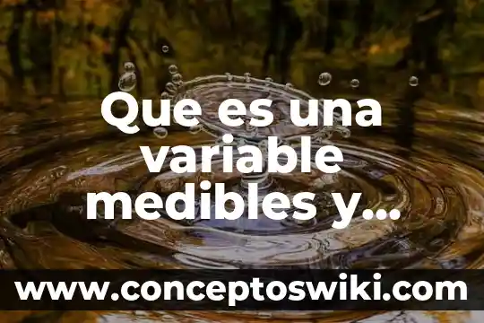 Que es un icono de programa ejemplos 7 Que es una variable medibles y ejemplos