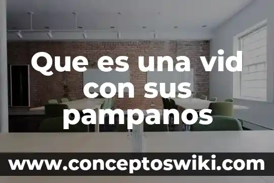 Que es un pampano de la vid 3 Que es una vid con sus pampanos