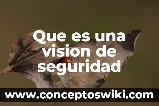 Zerpyco para qué es 7 Que es una vision de seguridad