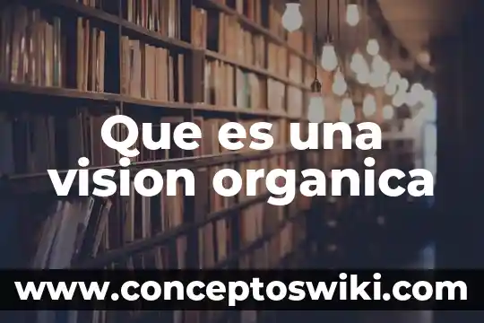 Qué es visión espiritual según la Biblia 8 Que es una vision organica