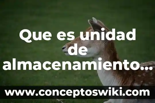 Qué es una fuentes de informacion y tipos de fuentes 5 Que es unidad de almacenamiento de informacion