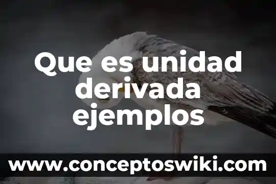 Que es derivada fisica 5 Que es unidad derivada ejemplos