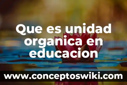 Qué es agricultura orgánica 4 Que es unidad organica en educacion