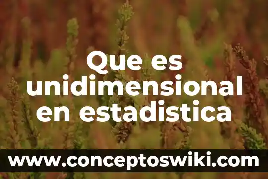 Que es la division de la estadistica clasica 3 Que es unidimensional en estadistica