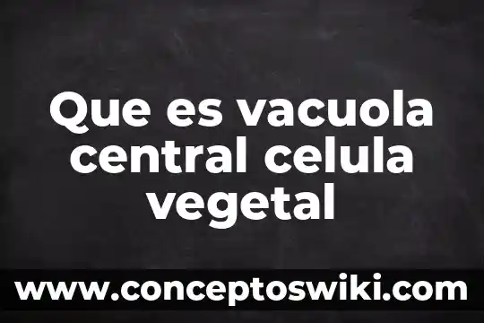 Que es lo mas importante de la celula animal 5 Que es vacuola central celula vegetal