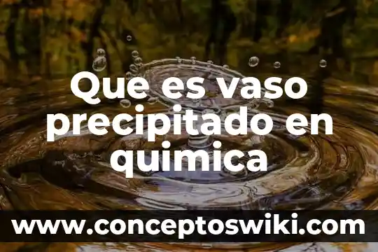 Vaso de lago que es 3 Que es vaso precipitado en quimica