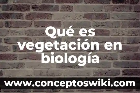Que es un nfc en un celular 3 Qué es vegetación en biología