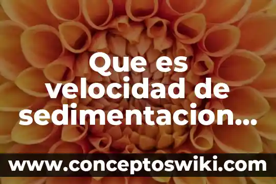 Qué es la difusión en una célula animal 7 Que es velocidad de sedimentacion en la celula