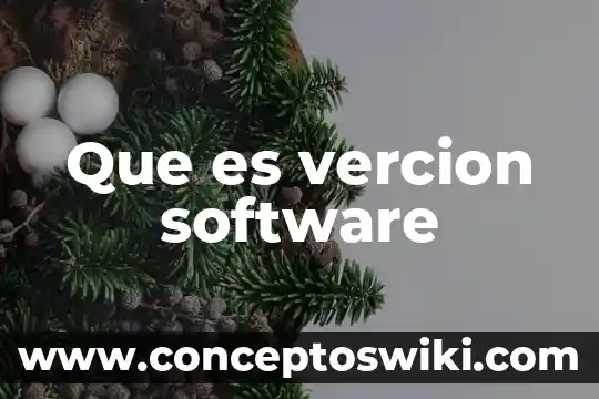 Variantes linguísticas qué es 8 Que es vercion software