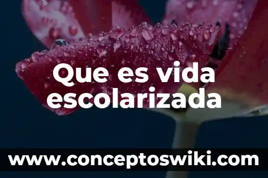 Que es la bebida vuelve a la vida 8 Que es vida escolarizada