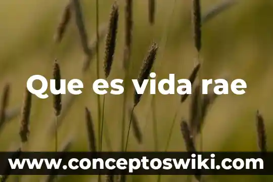 Que es la bebida vuelve a la vida 7 Que es vida rae