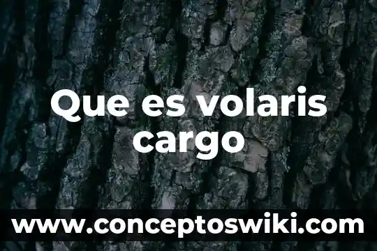 Que es el cargo contexto contable 5 Que es volaris cargo